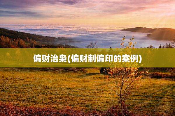 偏财治枭(偏财制偏印的案例)