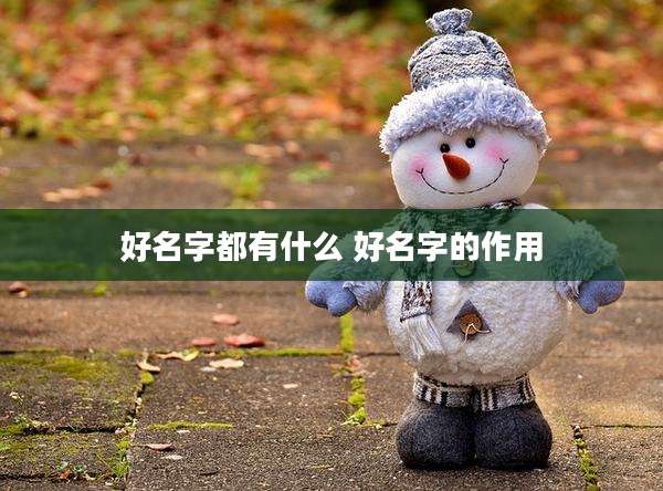 好名字都有什么 好名字的作用