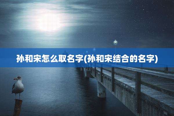 孙和宋怎么取名字(孙和宋结合的名字)