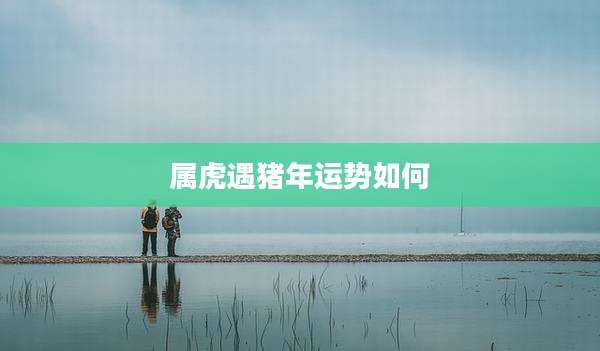 属虎遇猪年运势如何