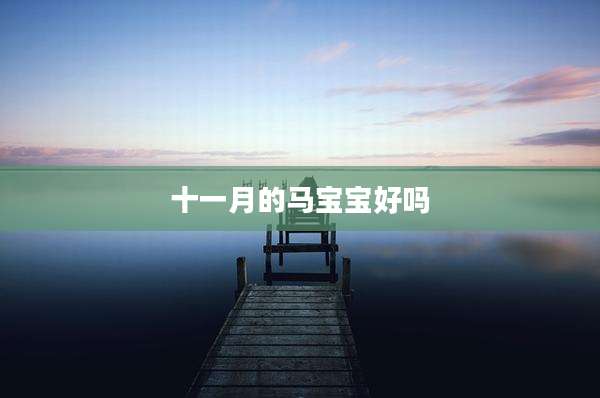 十一月的马宝宝好吗