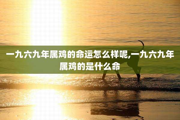 一九六九年属鸡的命运怎么样呢,一九六九年属鸡的是什么命