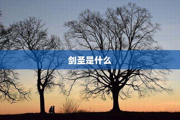 剑圣是什么