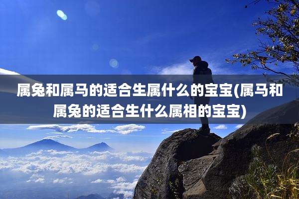 属兔和属马的适合生属什么的宝宝(属马和属兔的适合生什么属相的宝宝)