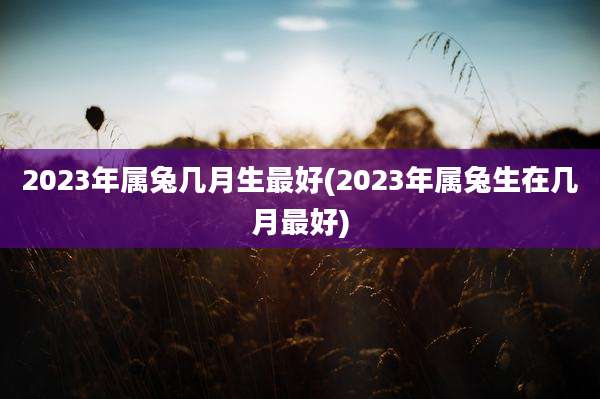2023年属兔几月生最好(2023年属兔生在几月最好)