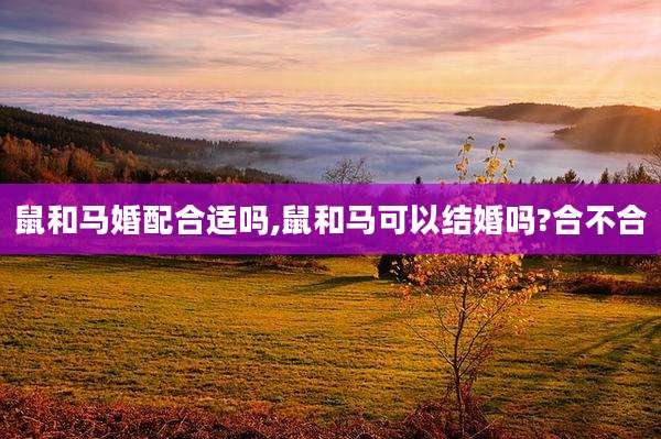 鼠和马婚配合适吗,鼠和马可以结婚吗?合不合