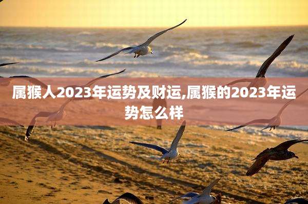 属猴人2023年运势及财运,属猴的2023年运势怎么样