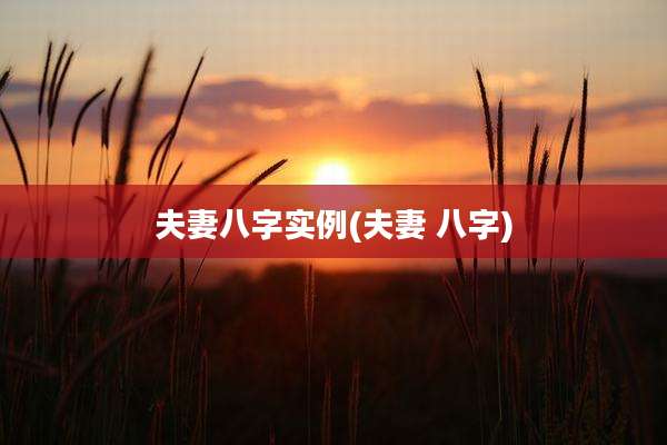夫妻八字实例(夫妻 八字)