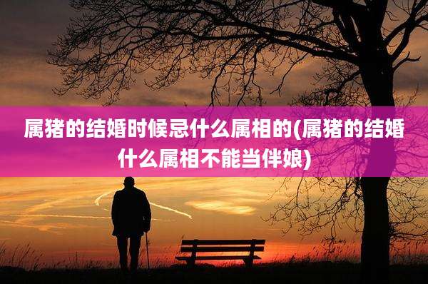 属猪的结婚时候忌什么属相的(属猪的结婚什么属相不能当伴娘)