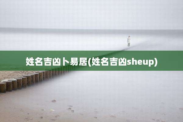 姓名吉凶卜易居(姓名吉凶sheup)