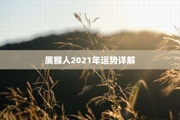 属猴人2021年运势详解