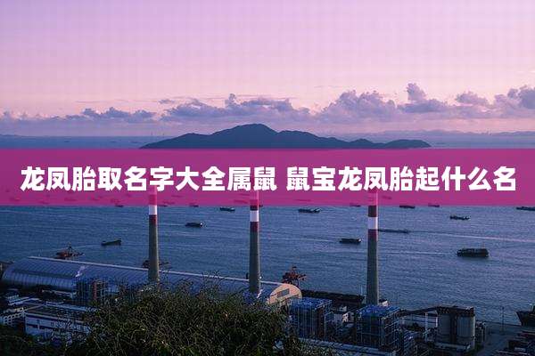 龙凤胎取名字大全属鼠 鼠宝龙凤胎起什么名