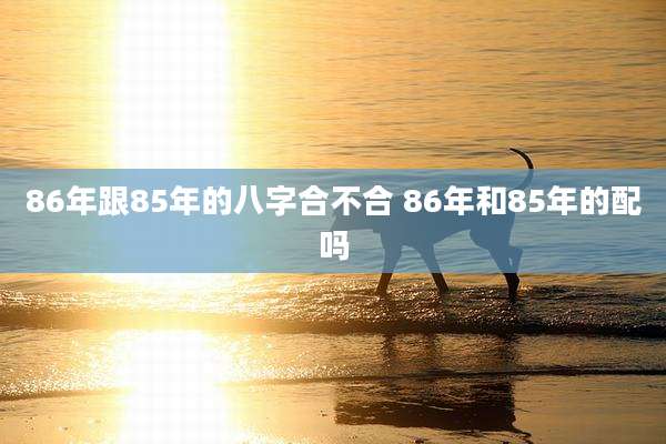 86年跟85年的八字合不合 86年和85年的配吗
