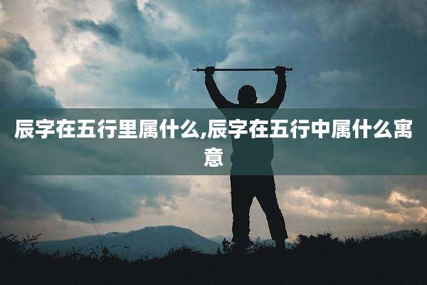 辰字在五行里属什么,辰字在五行中属什么寓意
