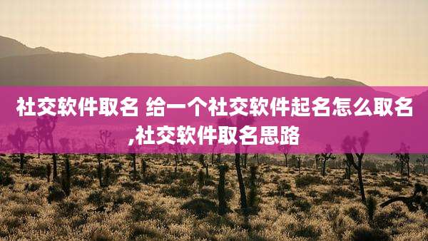 社交软件取名 给一个社交软件起名怎么取名,社交软件取名思路