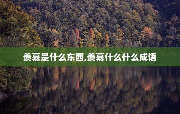 羡慕是什么东西,羡慕什么什么成语