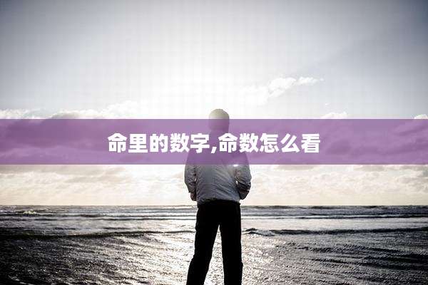 命里的数字,命数怎么看
