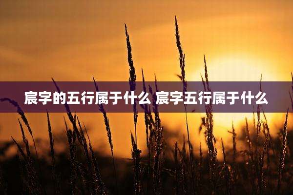 宸字的五行属于什么 宸字五行属于什么