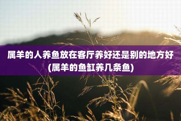 属羊的人养鱼放在客厅养好还是别的地方好(属羊的鱼缸养几条鱼)