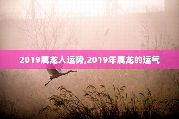 2019属龙人运势,2019年属龙的运气