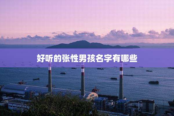 好听的张性男孩名字有哪些
