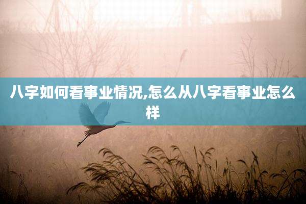 八字如何看事业情况,怎么从八字看事业怎么样