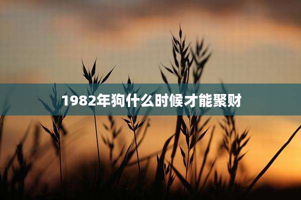 1982年狗什么时候才能聚财