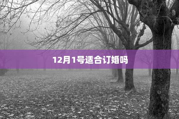 12月1号适合订婚吗