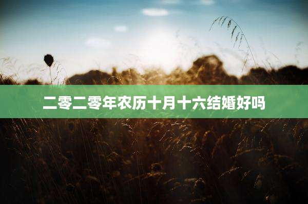 二零二零年农历十月十六结婚好吗
