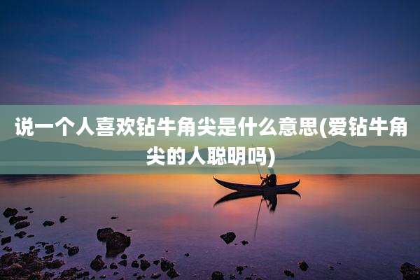 说一个人喜欢钻牛角尖是什么意思(爱钻牛角尖的人聪明吗)