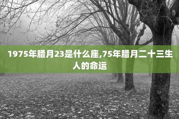 1975年腊月23是什么座,75年腊月二十三生人的命运
