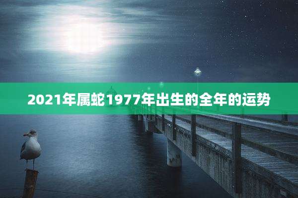 2021年属蛇1977年出生的全年的运势