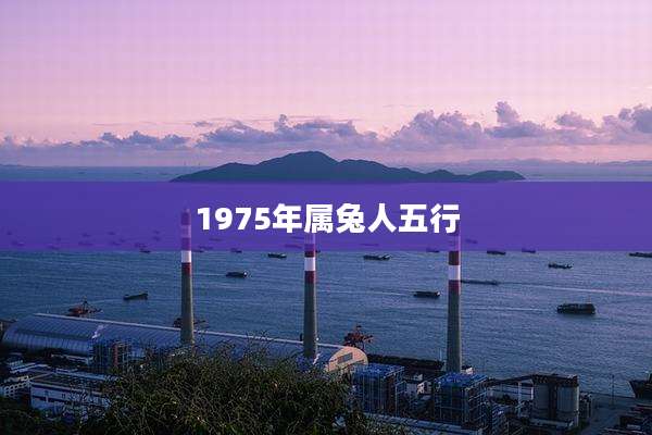 1975年属兔人五行