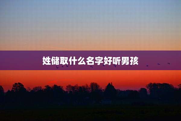 姓储取什么名字好听男孩