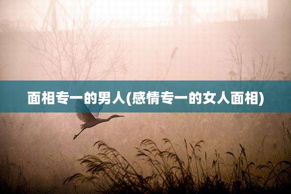 面相专一的男人(感情专一的女人面相)