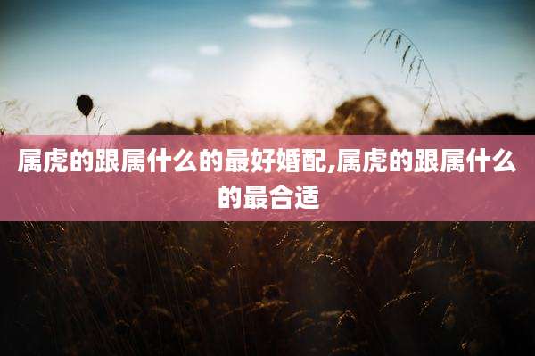 属虎的跟属什么的最好婚配,属虎的跟属什么的最合适