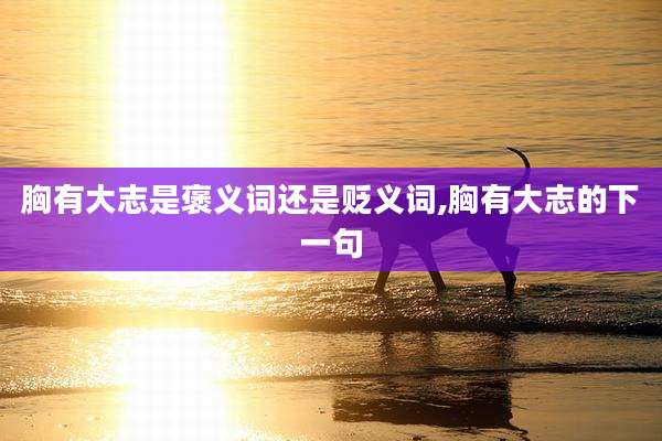 胸有大志是褒义词还是贬义词,胸有大志的下一句