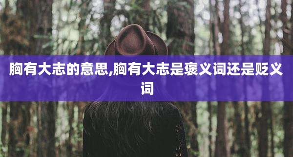 胸有大志的意思,胸有大志是褒义词还是贬义词