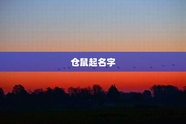 仓鼠起名字