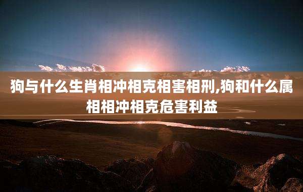 狗与什么生肖相冲相克相害相刑,狗和什么属相相冲相克危害利益