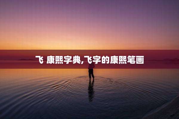 飞 康熙字典,飞字的康熙笔画