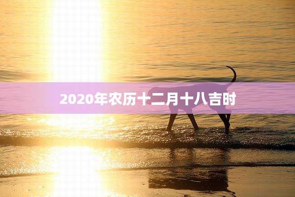 2020年农历十二月十八吉时