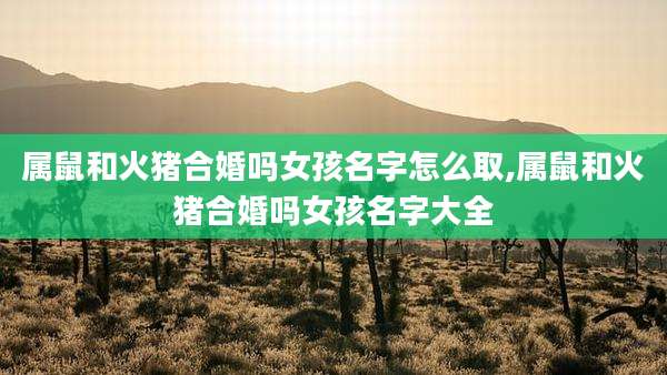 属鼠和火猪合婚吗女孩名字怎么取,属鼠和火猪合婚吗女孩名字大全