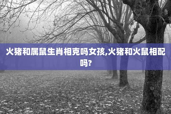 火猪和属鼠生肖相克吗女孩,火猪和火鼠相配吗?