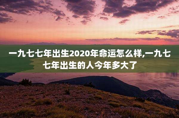 一九七七年出生2020年命运怎么样,一九七七年出生的人今年多大了