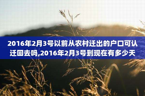 2016年2月3号以前从农村迁出的户口可认迁回去吗,2016年2月3号到现在有多少天