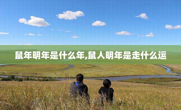 鼠年明年是什么年,鼠人明年是走什么运