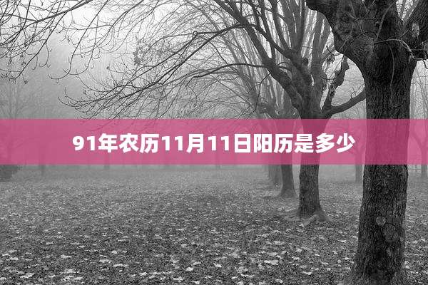 91年农历11月11日阳历是多少