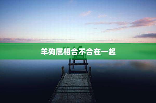 羊狗属相合不合在一起