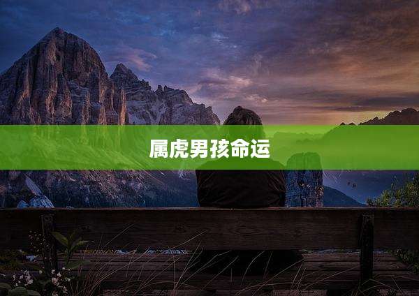 属虎男孩命运